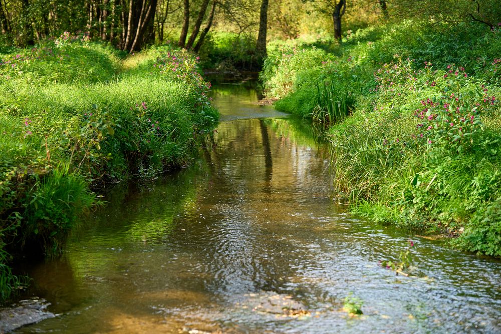 Photograph by Игорь Кад