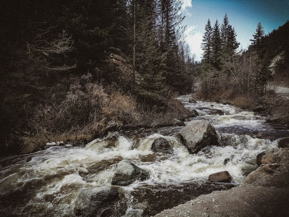 Photograph by Наталья Веряскина