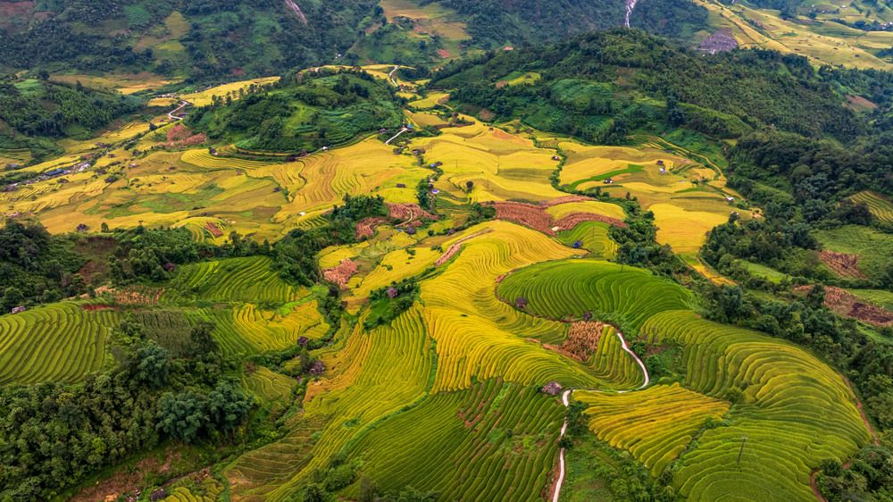 Фотография автора QUAN NGUYEN HUNG