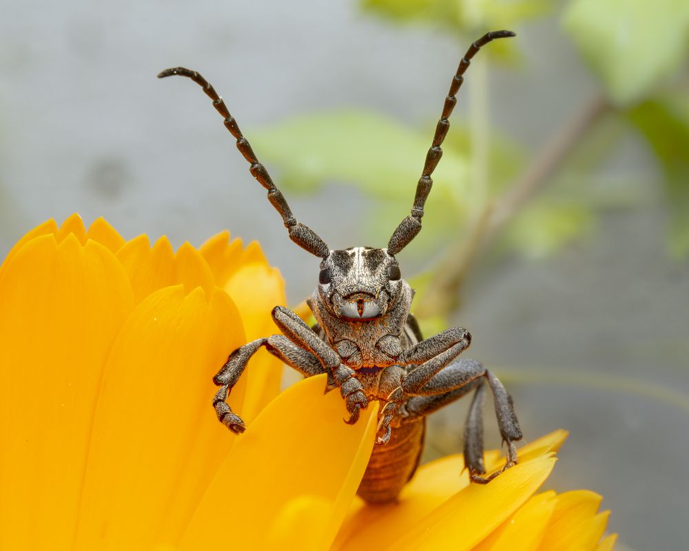 Photograph by Andrea Tonioni