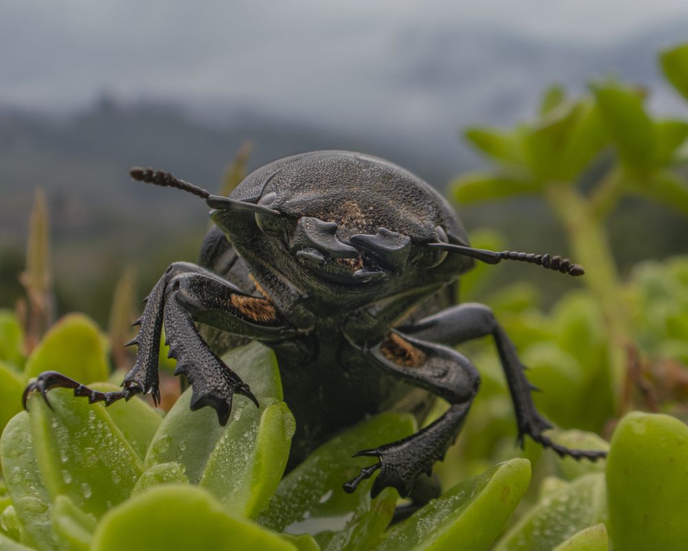 Photograph by Andrea Tonioni