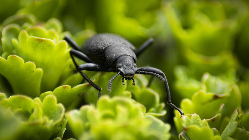 Photograph by Кирилл Савенко