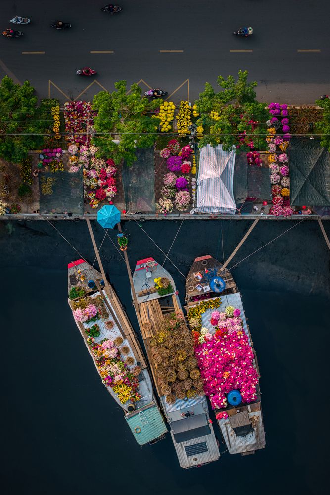 Фотография автора Nghi Le