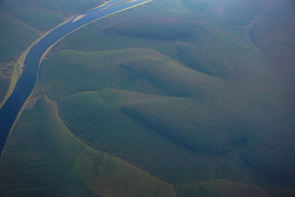 Зелёное море тайги