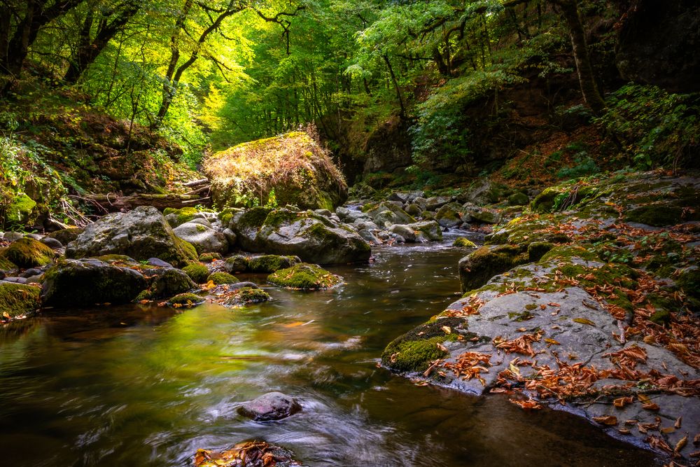 Фотография автора Асрян Севак