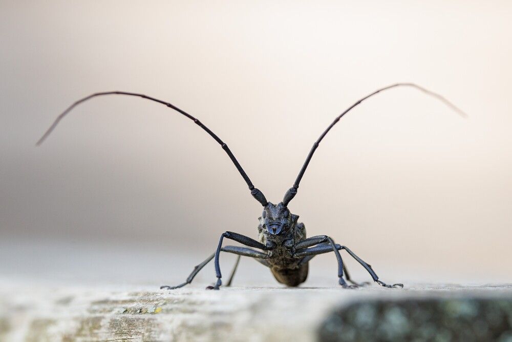 Photograph by Сергей Зорин