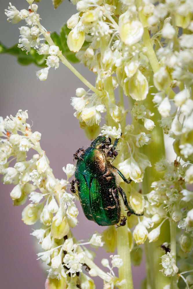 Photograph by Сергей Зорин