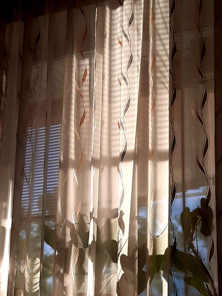 Photograph by Наталья Шендяпина