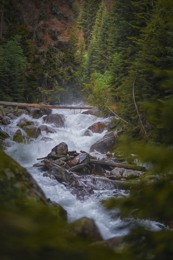 Фотография автора Юлия Март