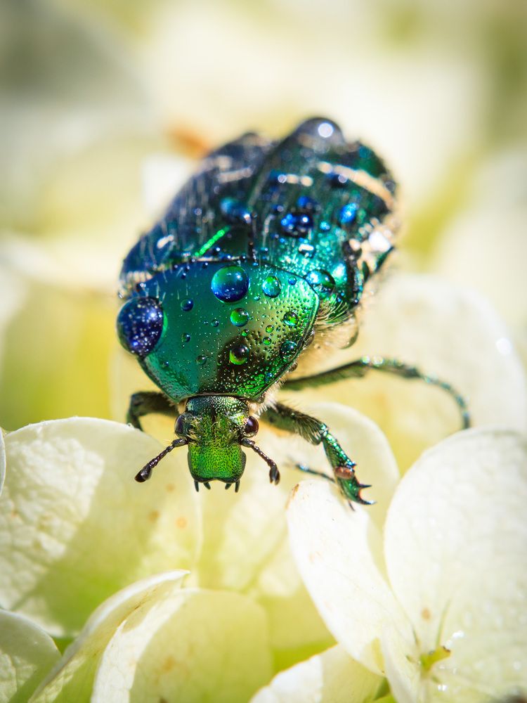 Photograph by Сергей Зорин