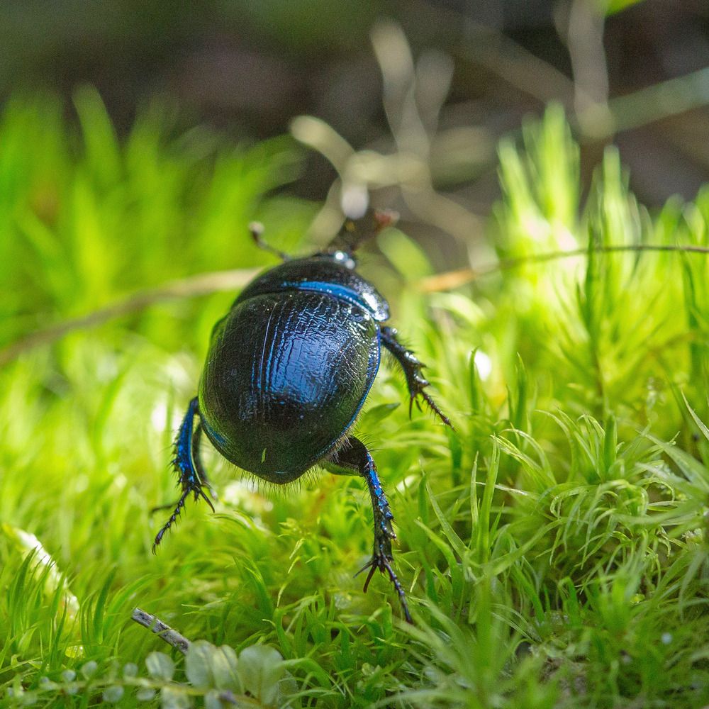 Photograph by Сергей Зорин