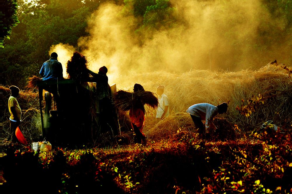 Photograph by SHAJI PP