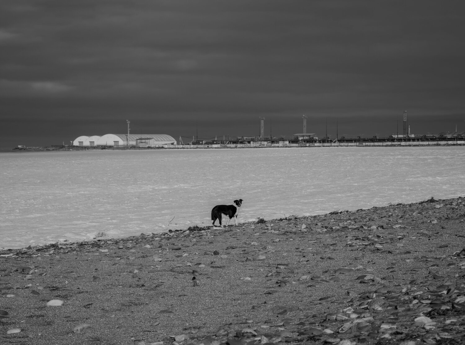 Photo #13413251