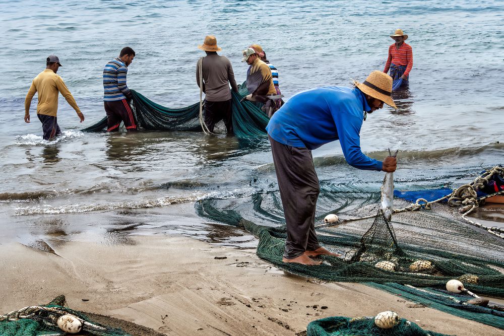 Ритм рыбацких  будней.