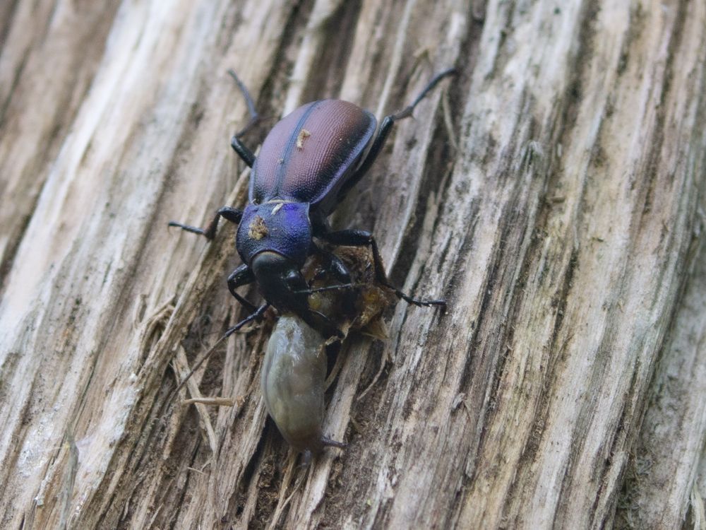 Photograph by Александр