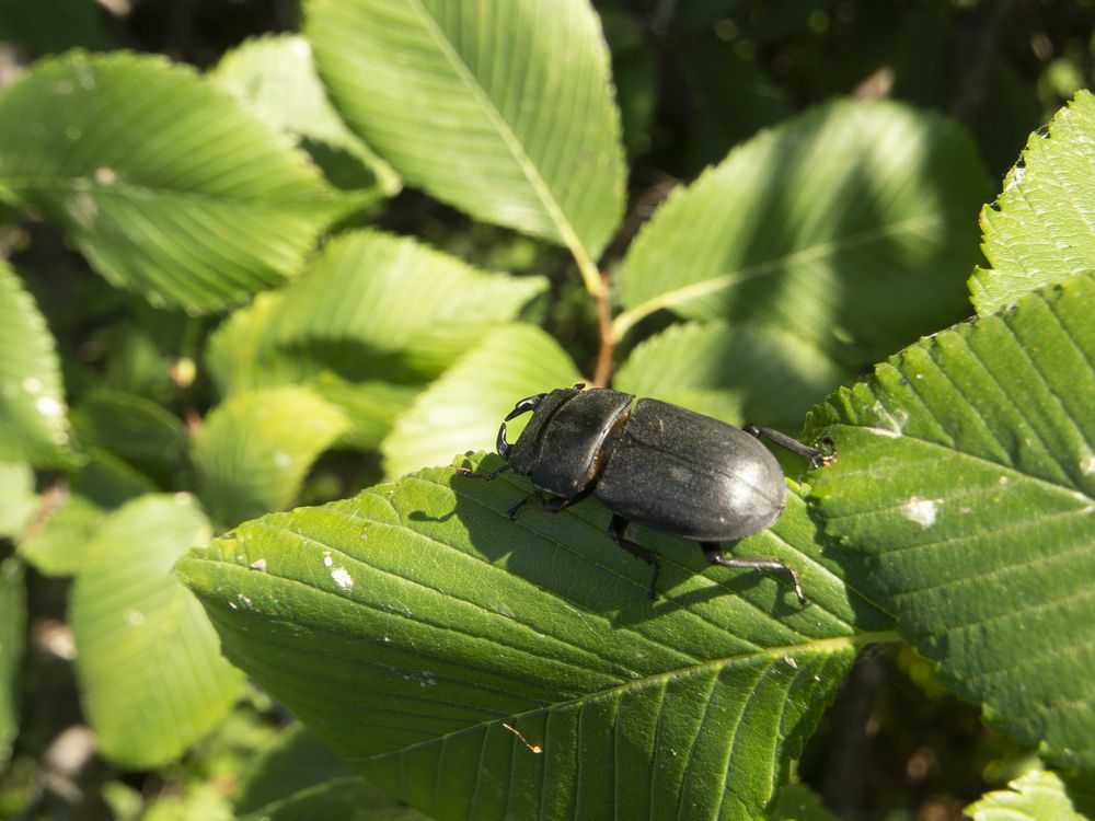 Photograph by Александр