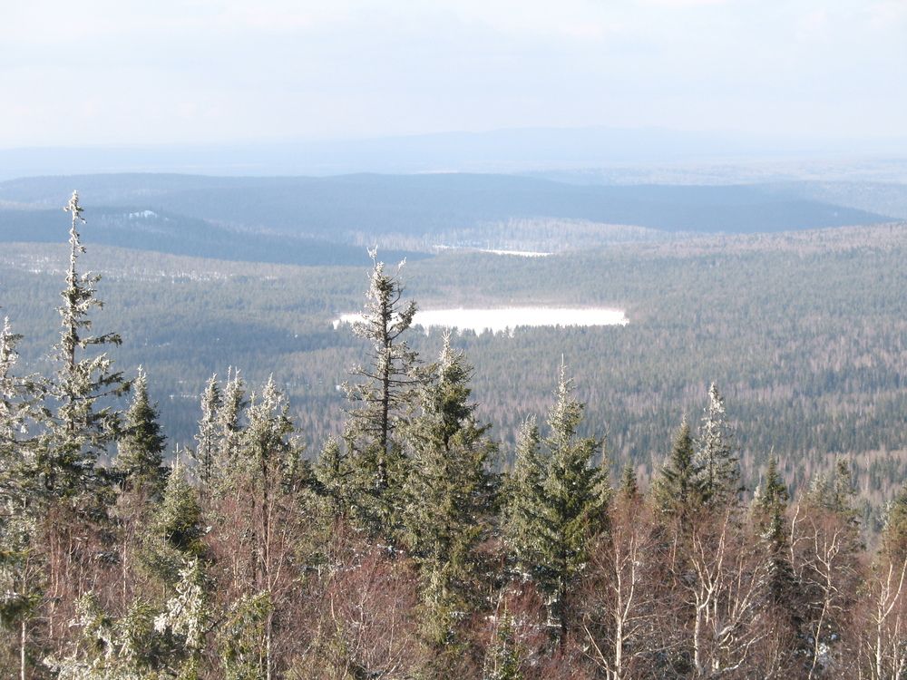 Photograph by Орл Про