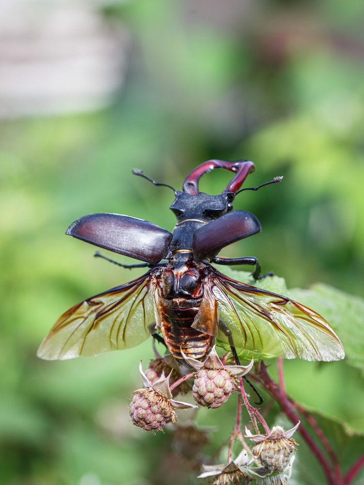 Photograph by Сергей Зорин