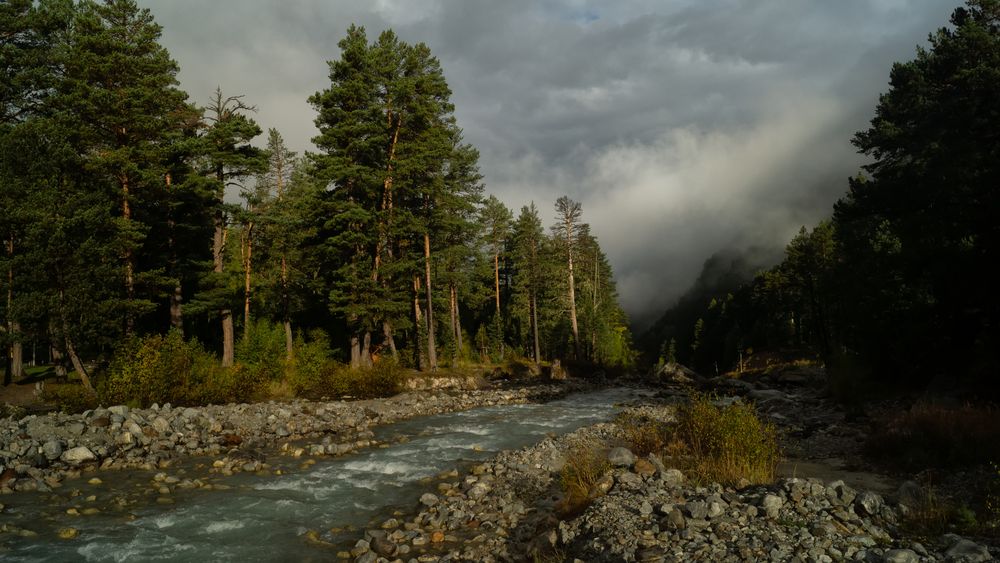 Photo #13413357