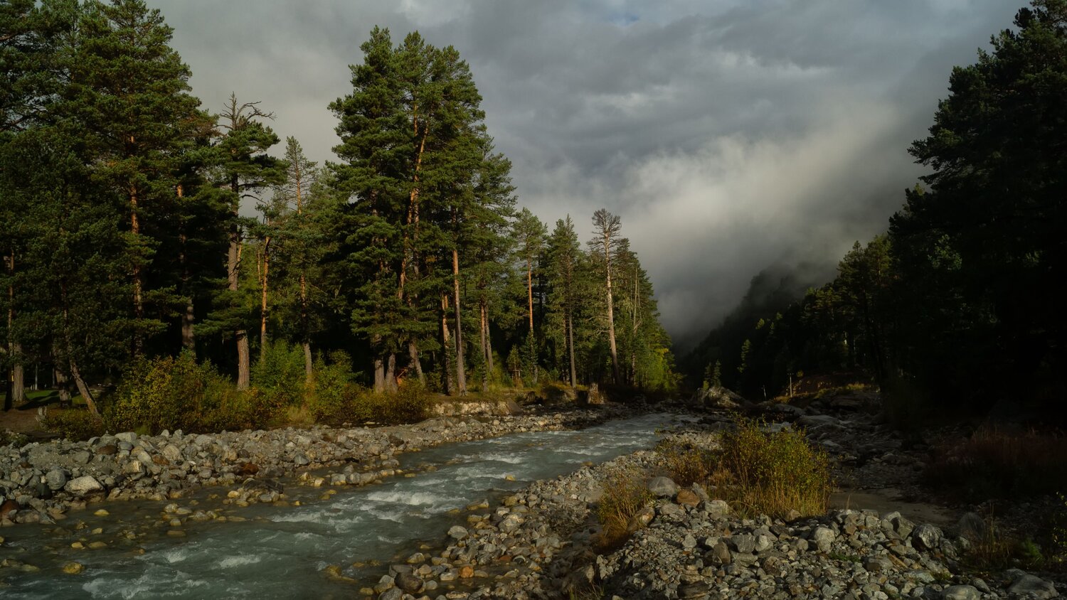 Photo #13413357
