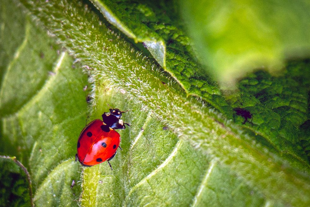 Photograph by Nadezhda Khrustaleva