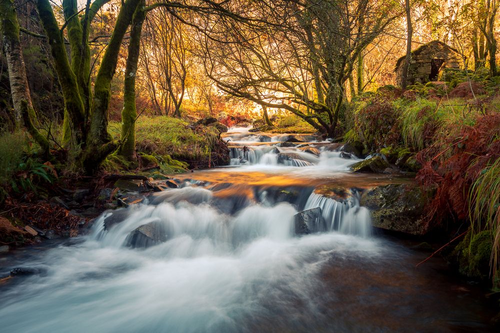 Photograph by Bruno Ribeiro