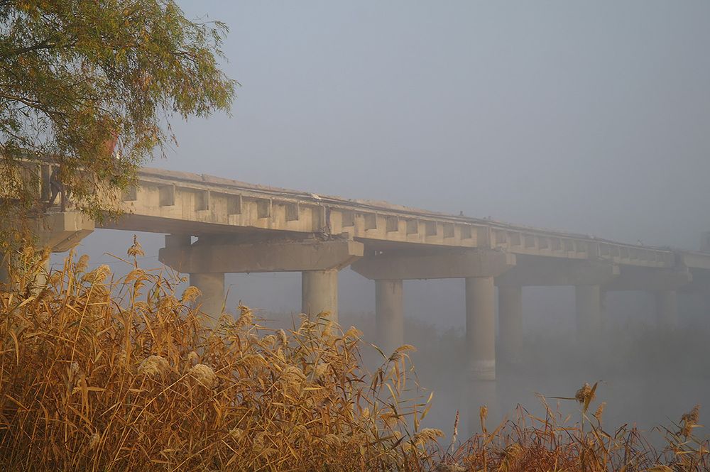 Photograph by Евгений Кулик