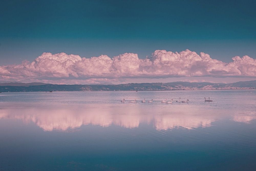 Photograph by Szilvia Farkas