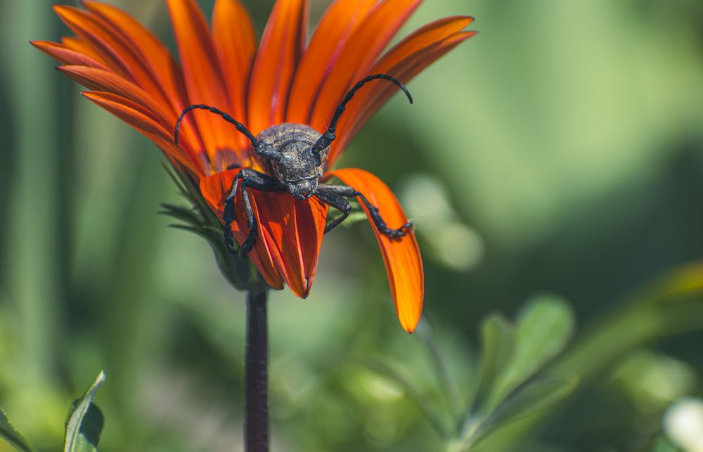 Photograph by Szilvia Farkas