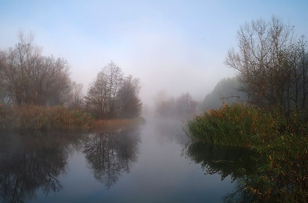 Photograph by Евгений Кулик