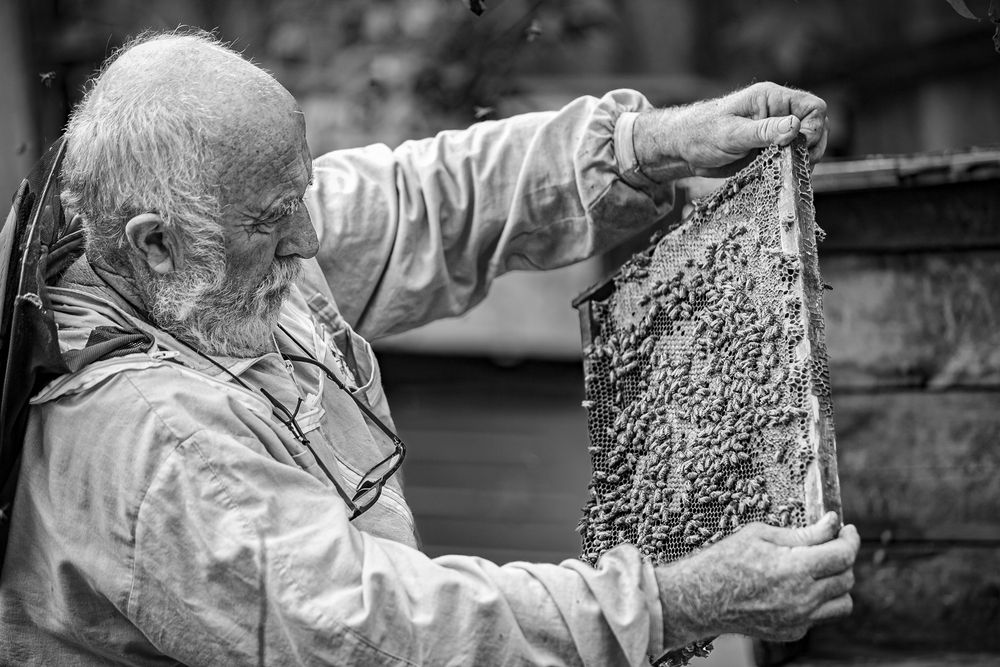 Photograph by Лупина Михаил