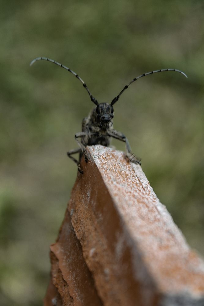 Photograph by Анастасия Псарёва