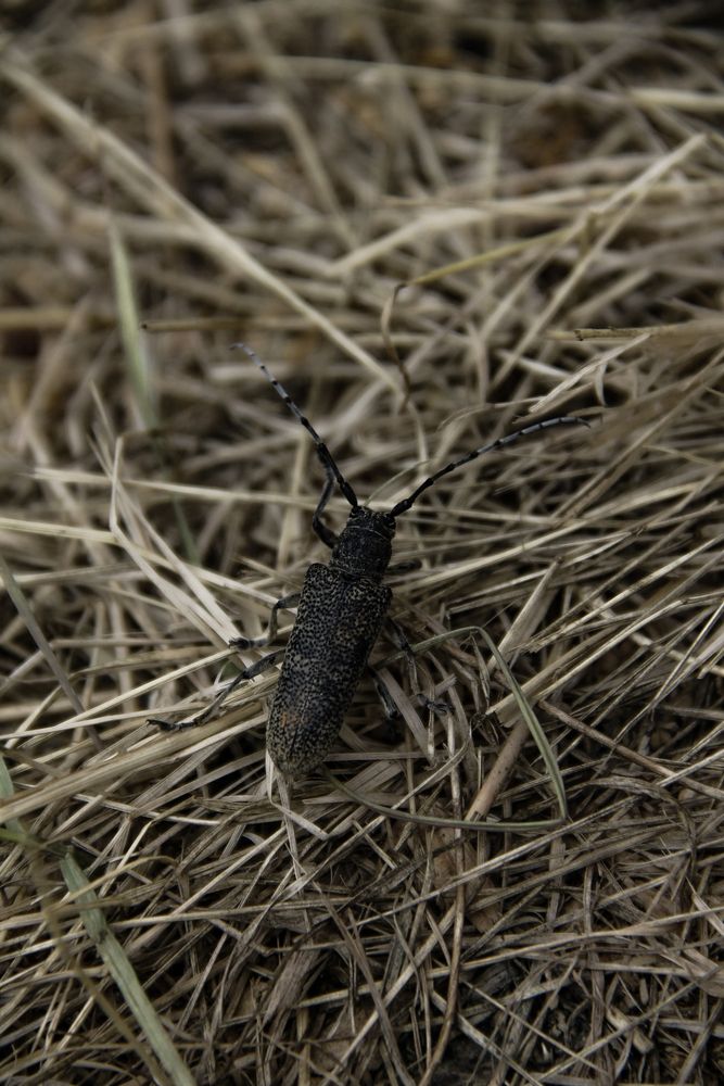 Photograph by Анастасия Псарёва