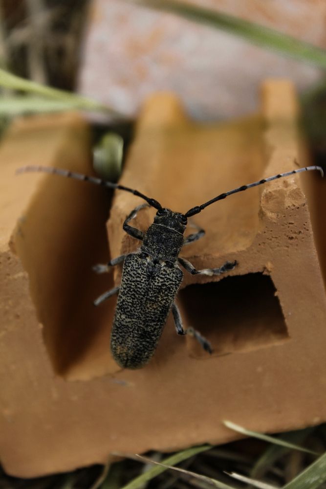 Photograph by Анастасия Псарёва