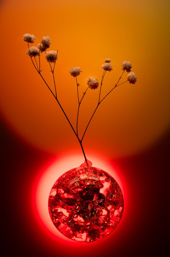 Photograph by Светлана Афанасьева