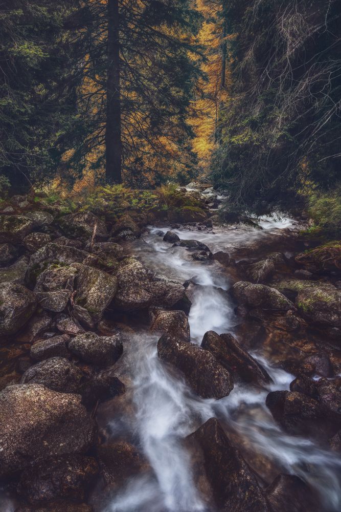 Фотография автора Sara Jazbar