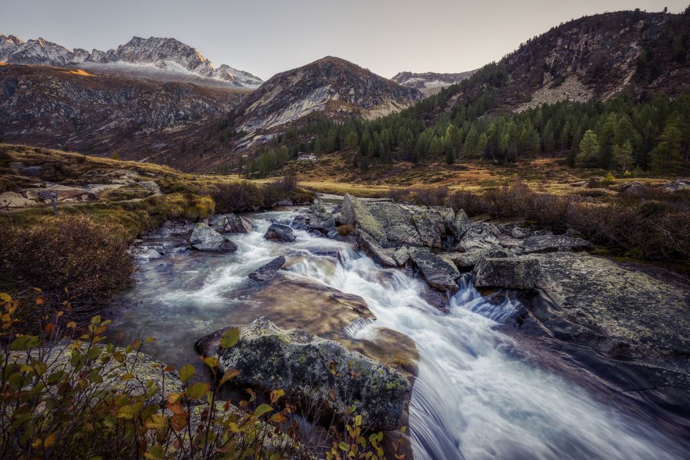 Фотография автора Sara Jazbar