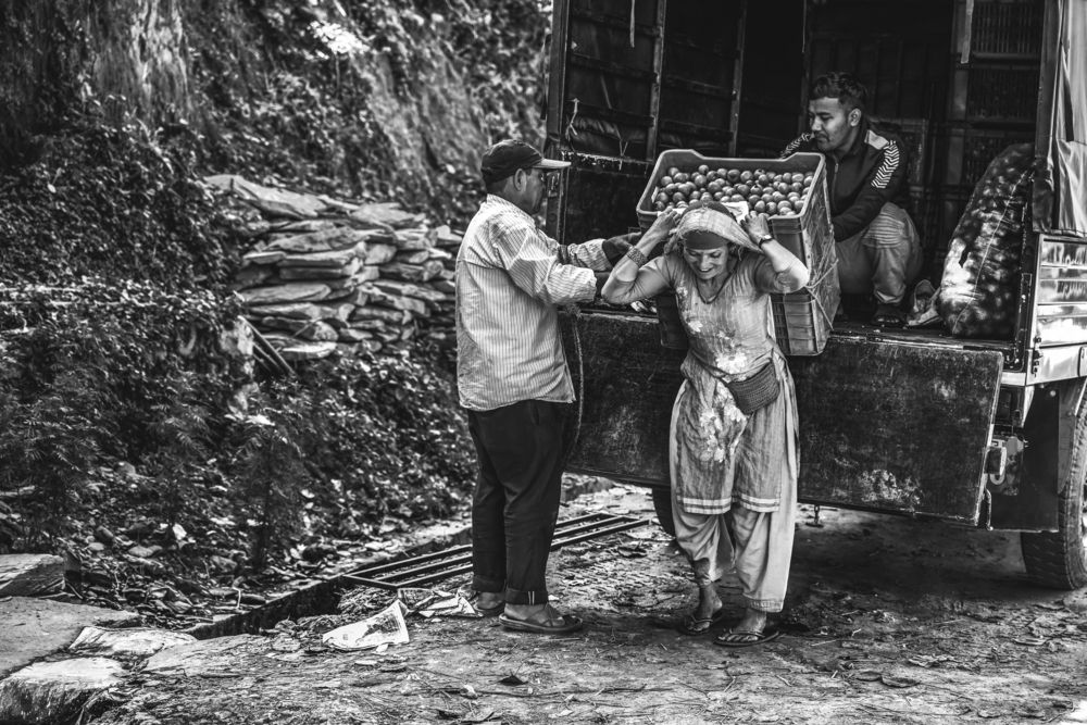 Photograph by Sara Jazbar