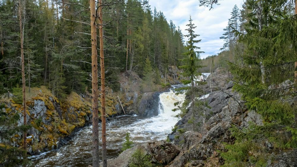 Фотография автора Диана Бородзе
