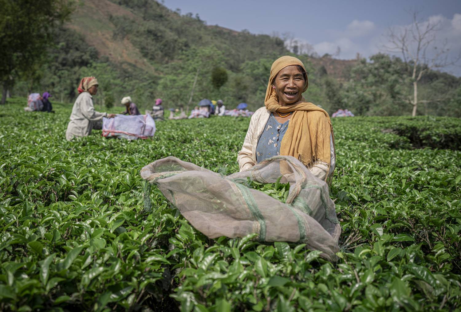 Фотография #13413796