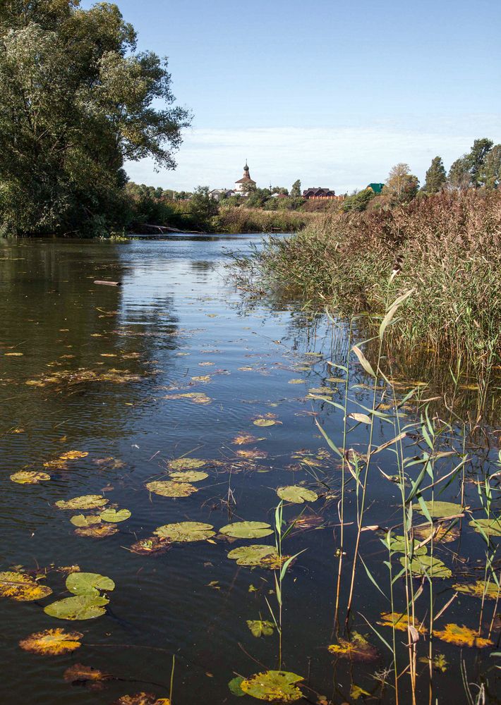 Photograph by Елена Третьякова