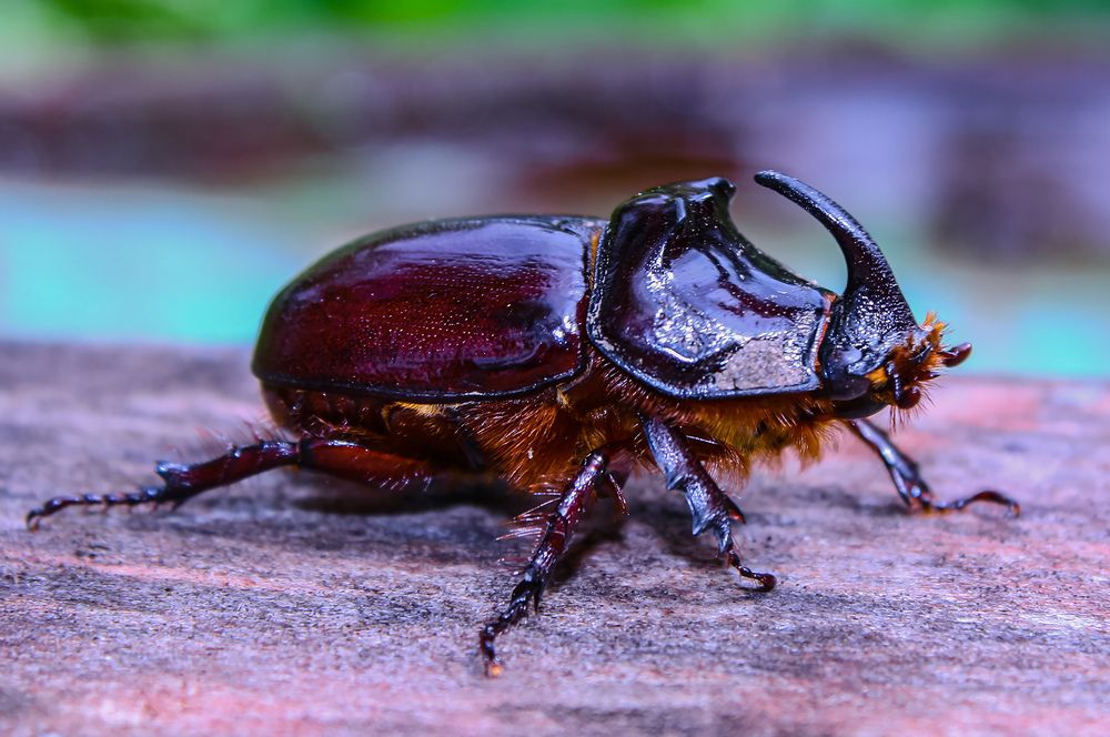 Photograph by Евгений Гонтов