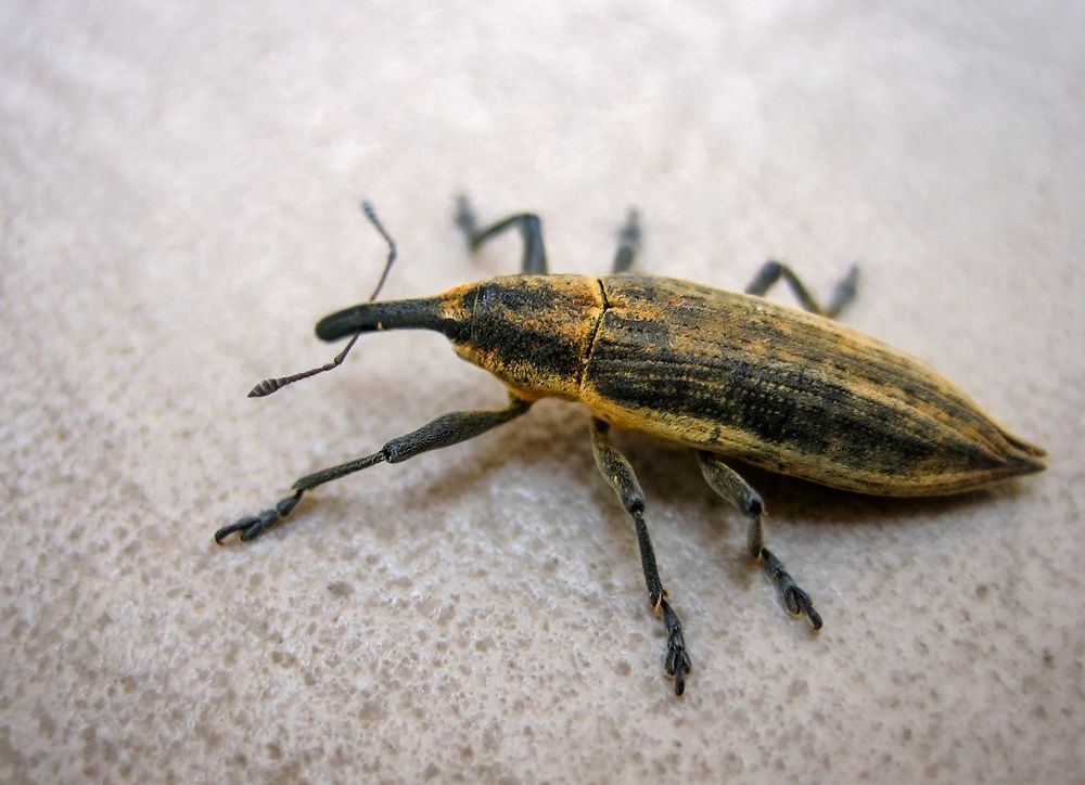 Photograph by Евгений Гонтов