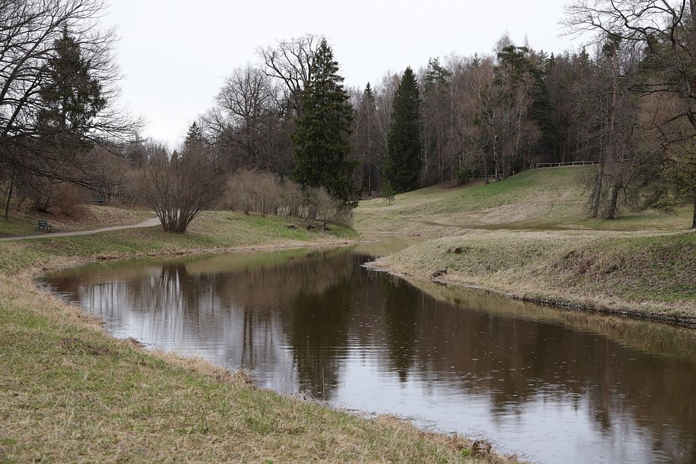 Дождливая меланхолия