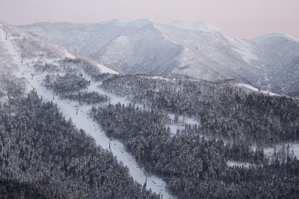 Photograph by Elena Menshikova