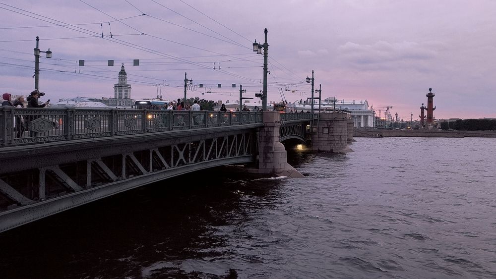 Фотография автора Ольга Некрасова