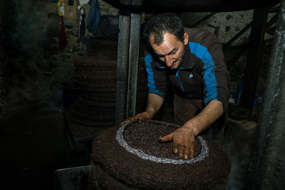 Фотография автора Nassim Mohamed