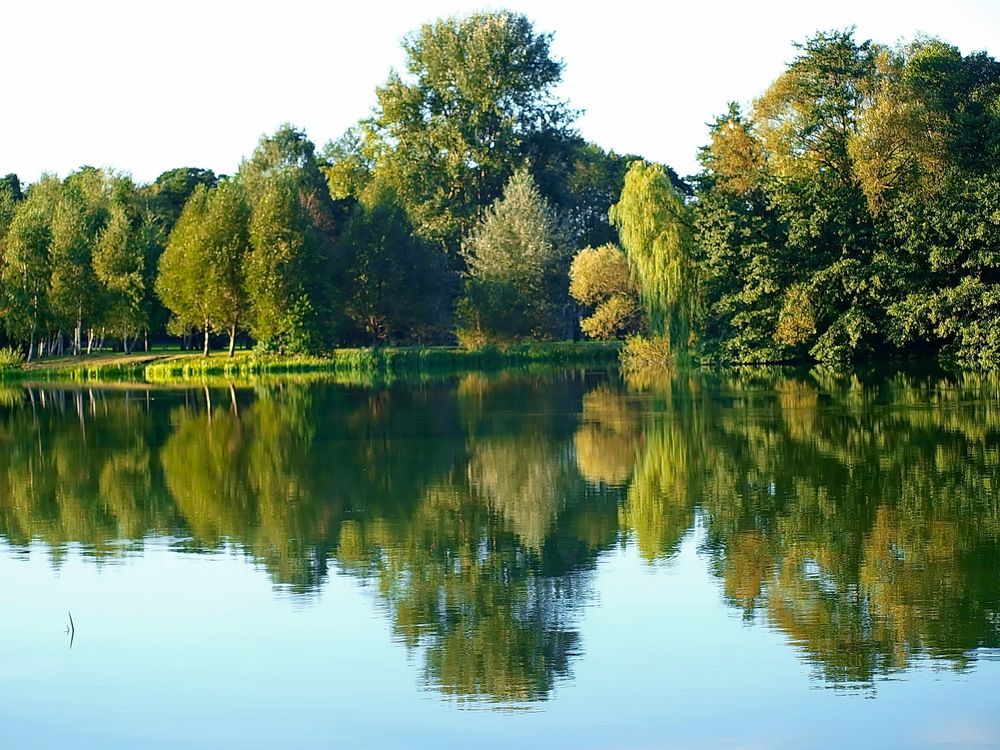 Фотография автора Игорь Чеботарёв