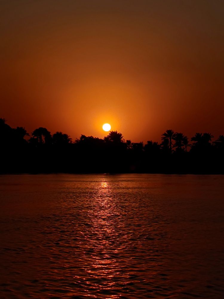 Photograph by Alaa Wahba