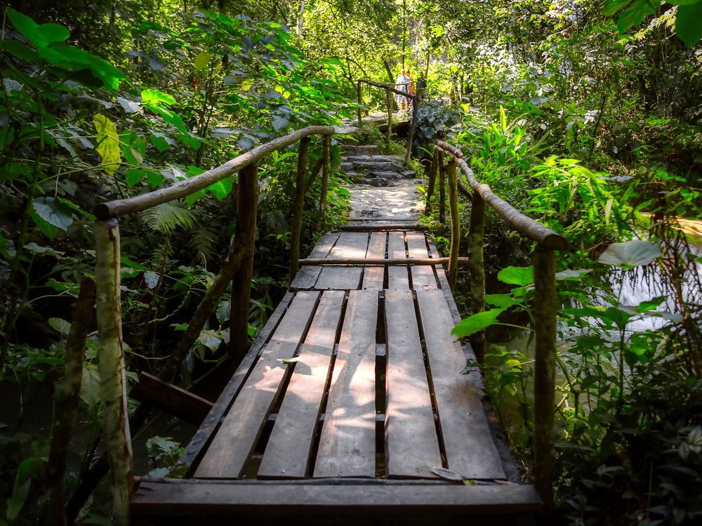 Фотография автора Андрей Хитров